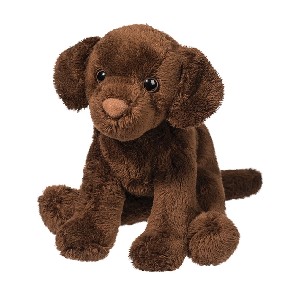 1554.jpg Finn Chocolate Lab - Image 1