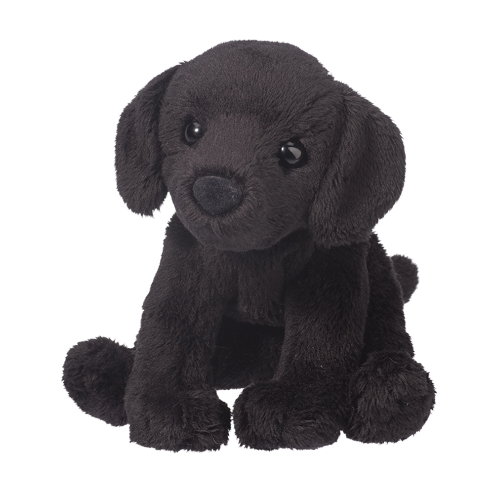 1556.jpg Lucy Black Lab - Image 1