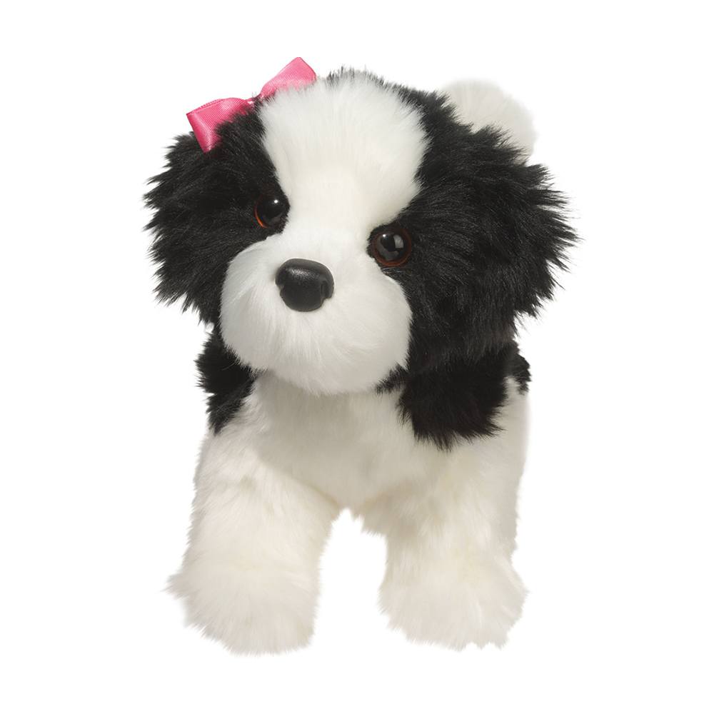 1716.jpg Poofy Black & White Shih-Tzu - Image 1