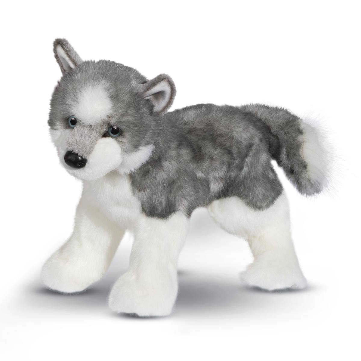 1803-1.jpg Sasha Husky - Image 1