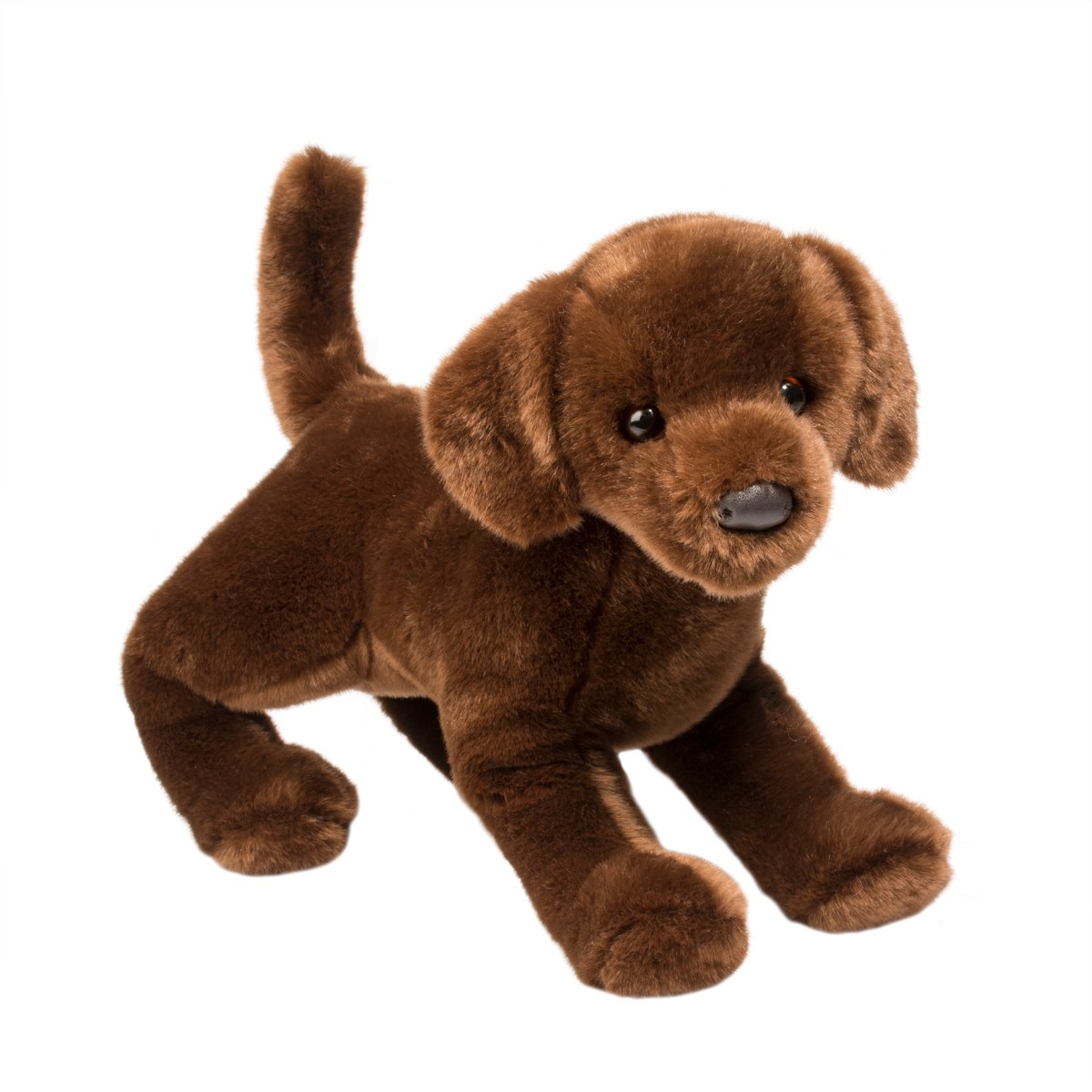 1811-1.jpg Cocoa Chocolate Lab - Image 1