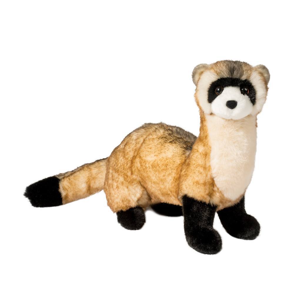 3679-1.jpg Vince Black Footed Ferret - Image 1