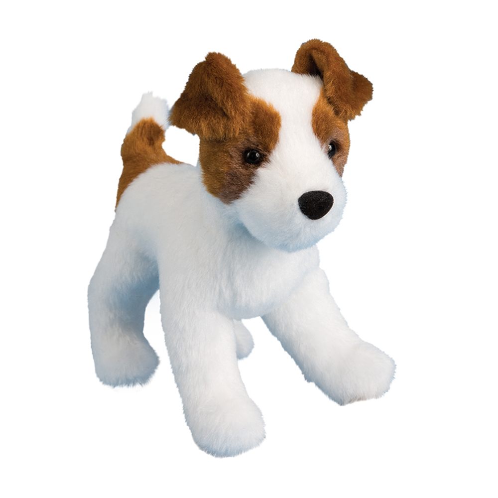 4020.jpg Feisty Jack Russel Terrier - Image 1