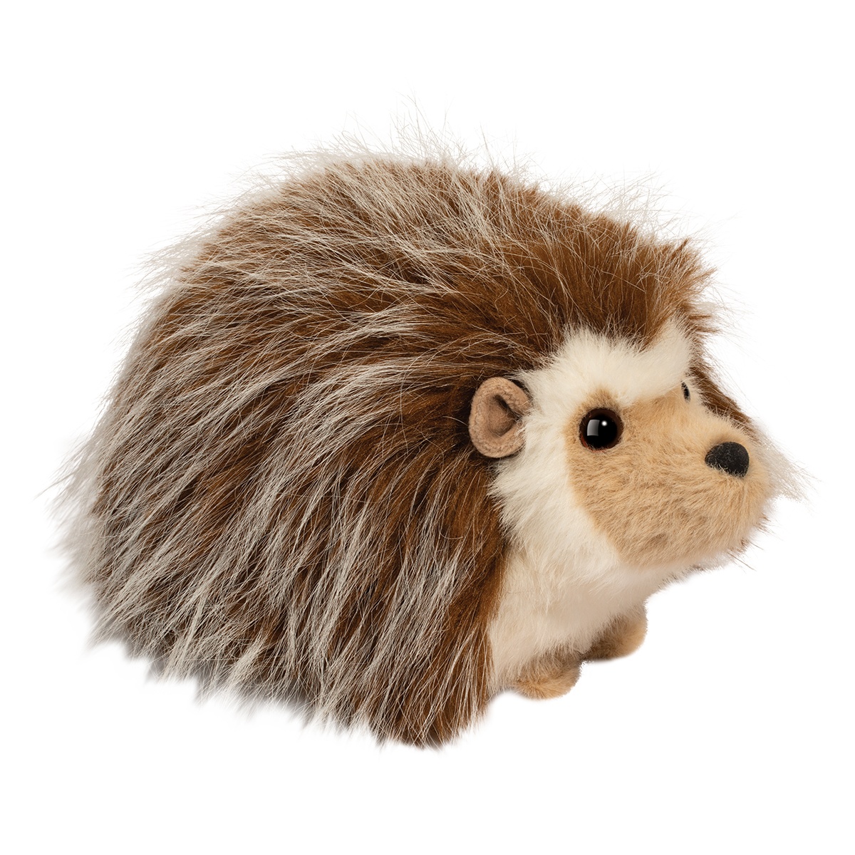 4815.jpg Bristle Hedgehog - Image 1